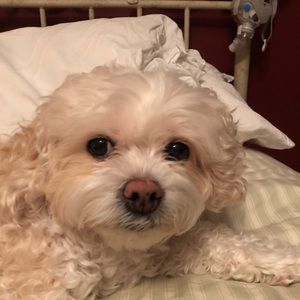 Meet your Posher, Kristian